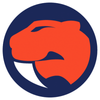 芒特甘比尔先锋